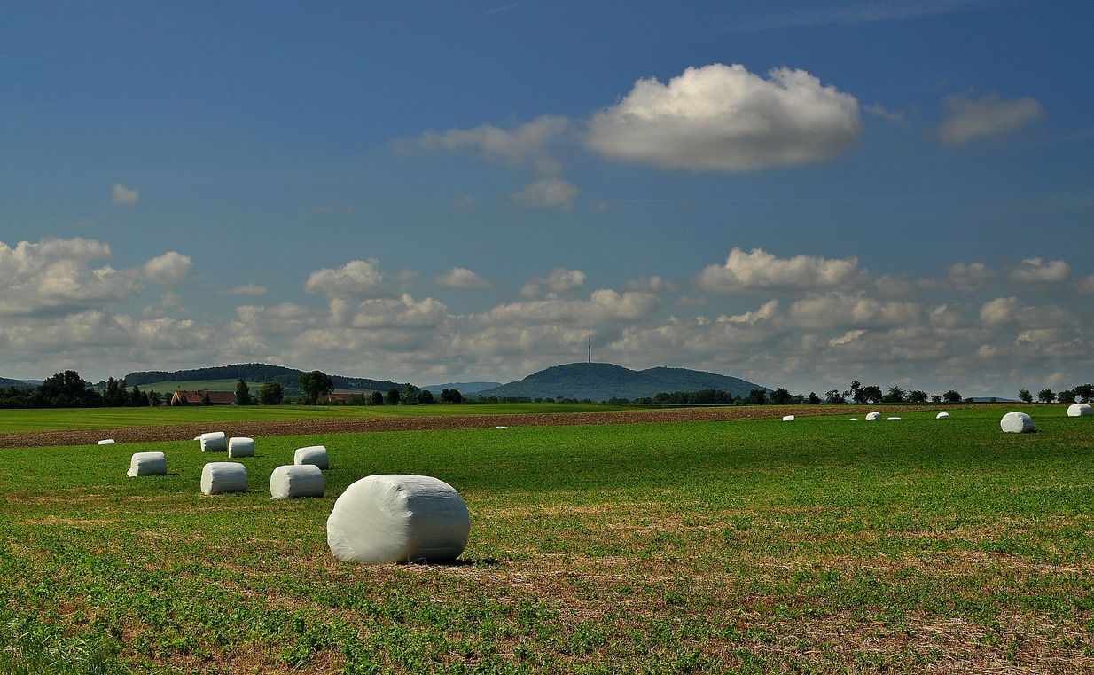 Löbauer Zwillingsberge