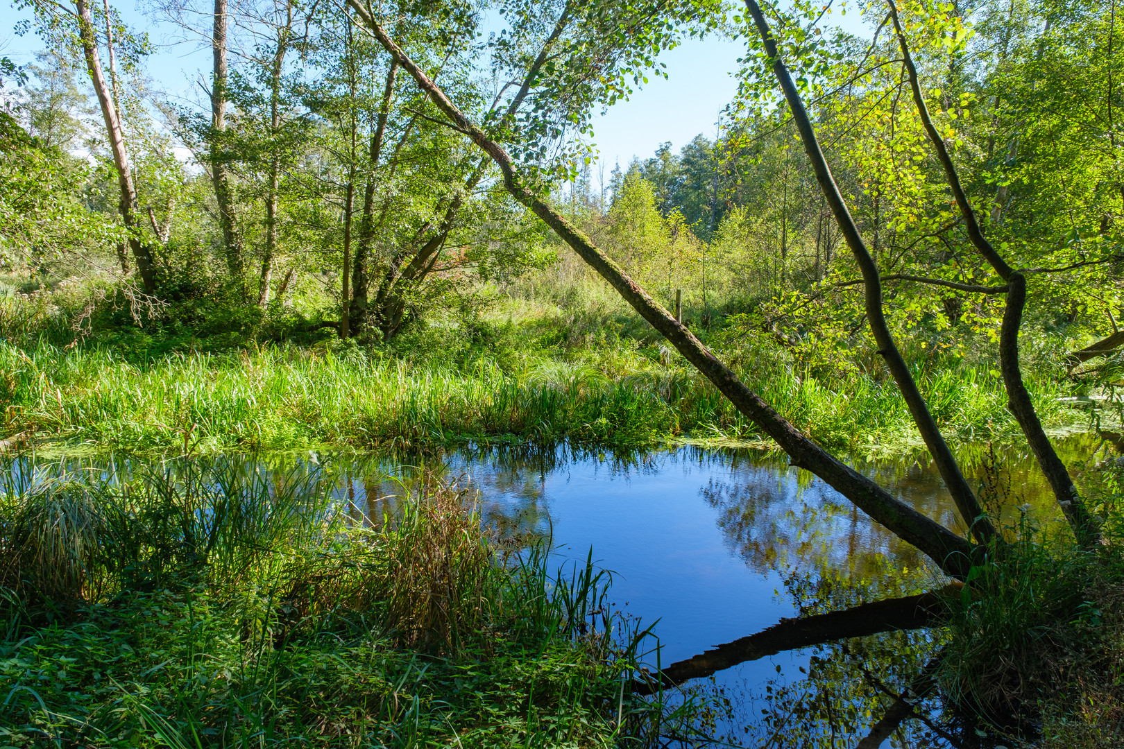 Löcknitztal