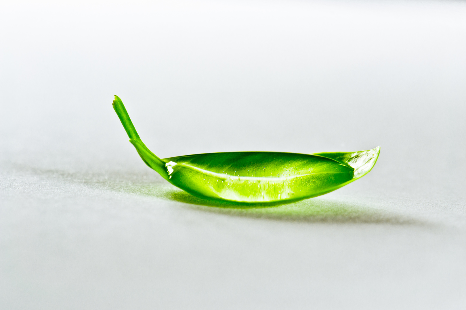 Löffel aus einem Blatt