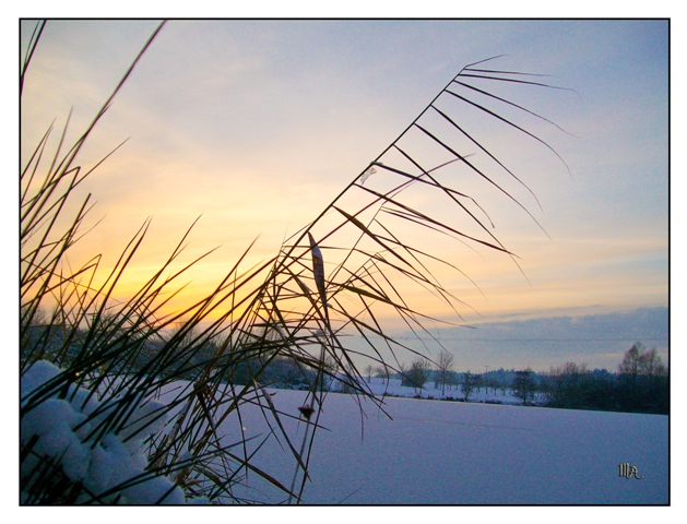 Löffelstelzweiher bei Sonnenaufgang