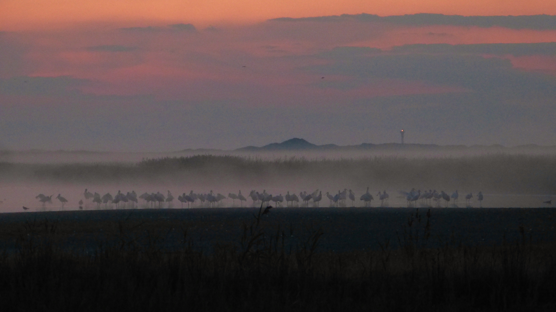 Löfflergruppe bei Sonnenaufgang