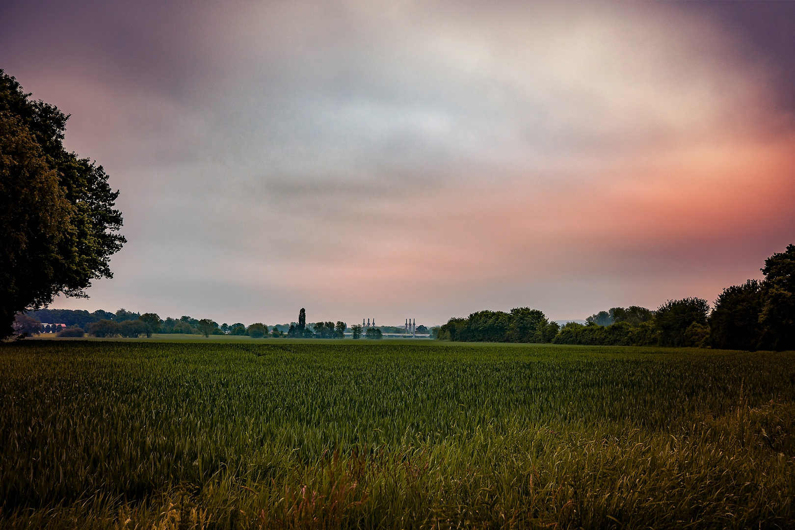 Löhne Feld