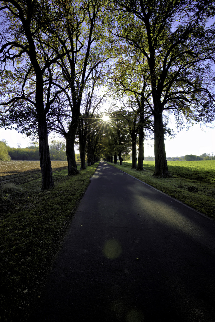 Löhne - Ulenburger Allee