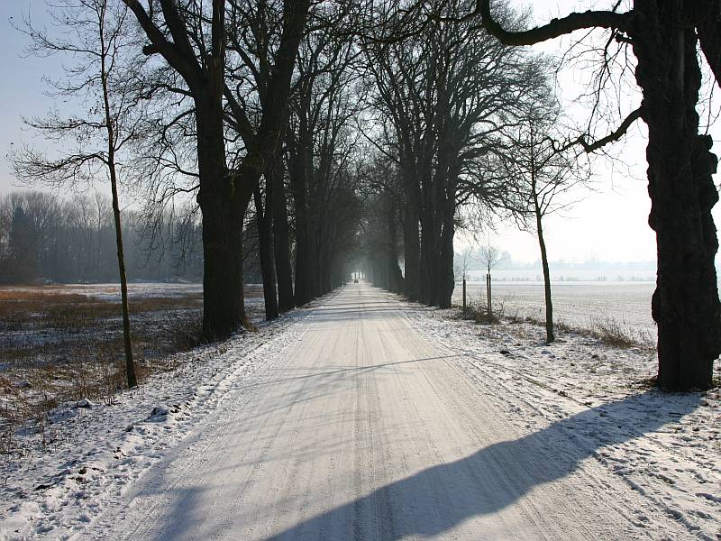 Löhne-Ullenburger Allee im Winter