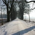 Löhne-Ullenburger Allee im Winter