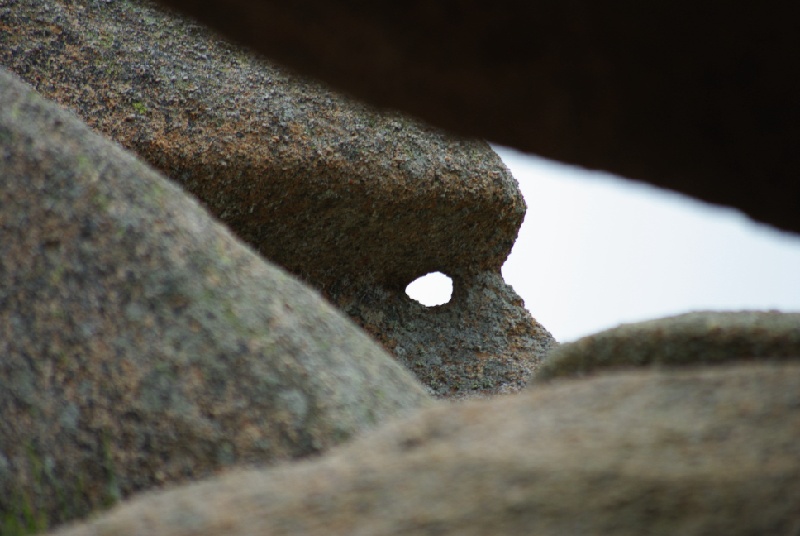 L'oeil du sentier