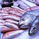 L’oeil vif pour du poisson frais sur le marché de Ronce-les-Bains  