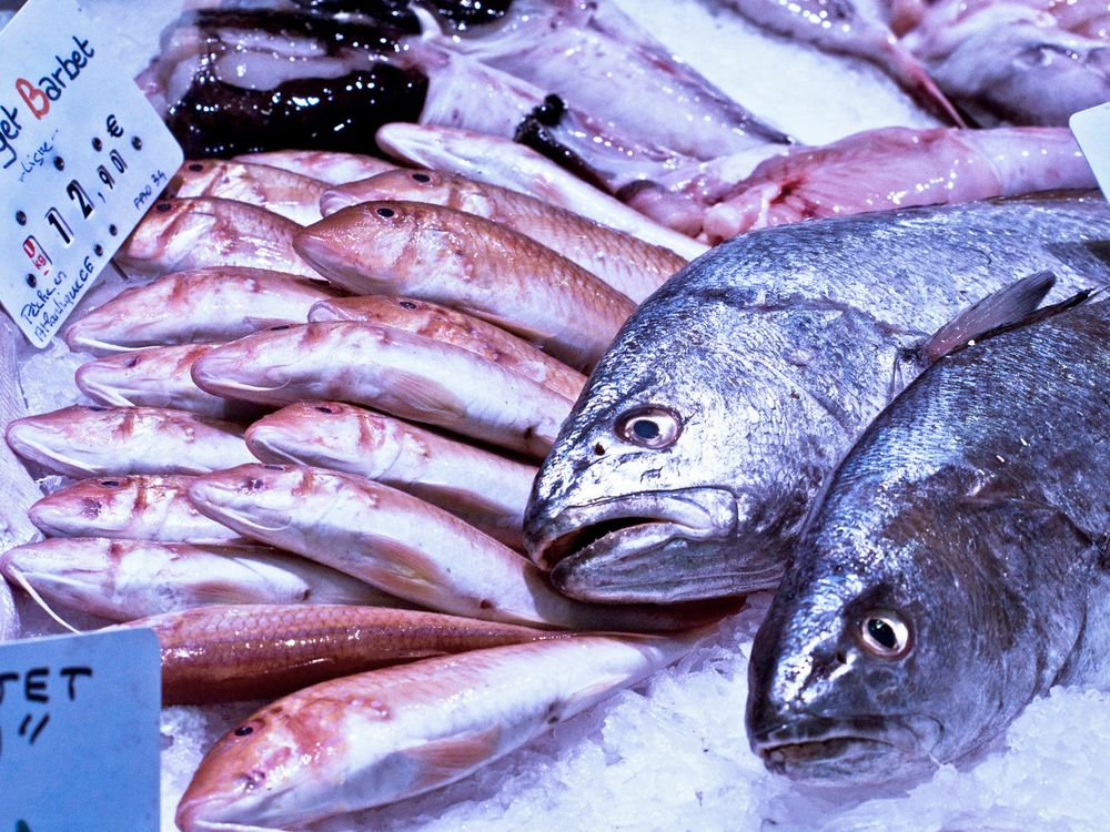 L’oeil vif pour du poisson frais sur le marché de Ronce-les-Bains  