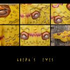 . loepa´s eyes .