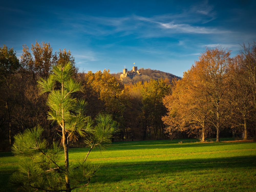 Lörrach im Grütt