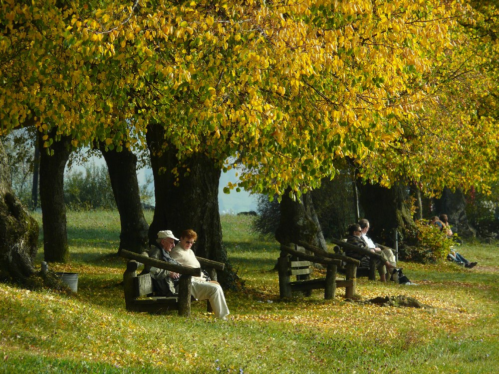 Lörrach-Obertüllingen Lindenplatz