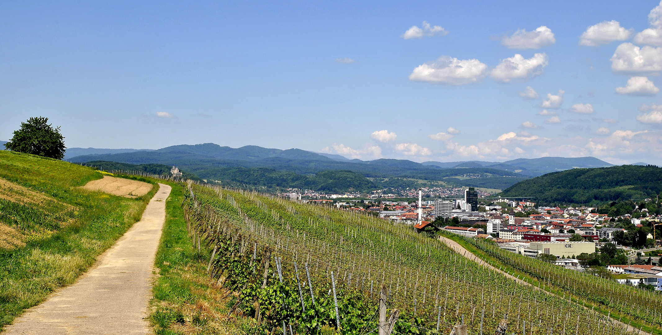 Lörrach und das Wiesental