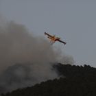 Löschflugzeug beim Wasserabwurf