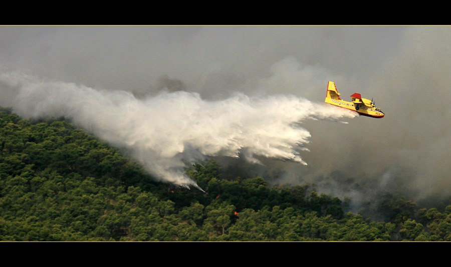 Löschflugzeug Canadair CL-215T an der Croatischen Küste