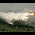 Löschflugzeug Canadair CL-215T an der Croatischen Küste