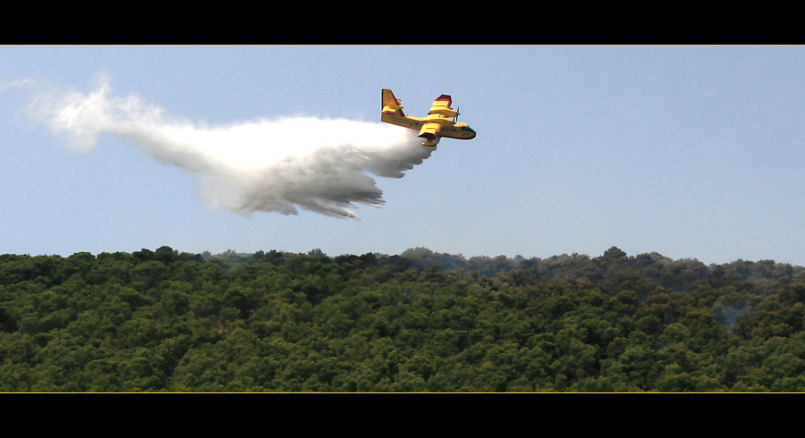 Löschflugzeug Canadair CL-215T im Einsatz