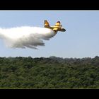 Löschflugzeug Canadair CL-215T im Einsatz