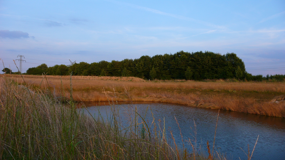 Löschwasserteich bei Bad Schwartau