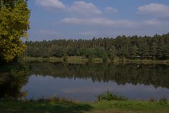 Lösmühler Weiher