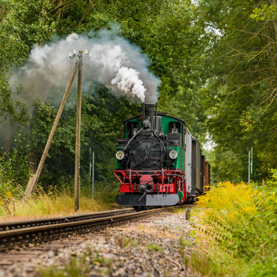 Lößnitzdackel