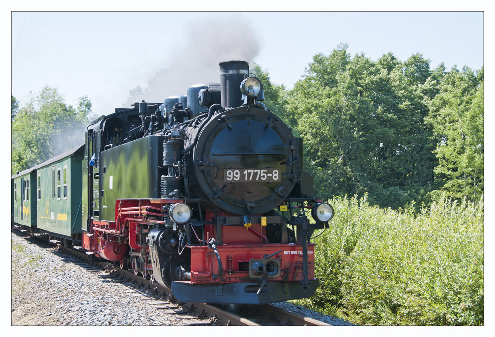 Lößnitzgrundbahn in voller Fahrt