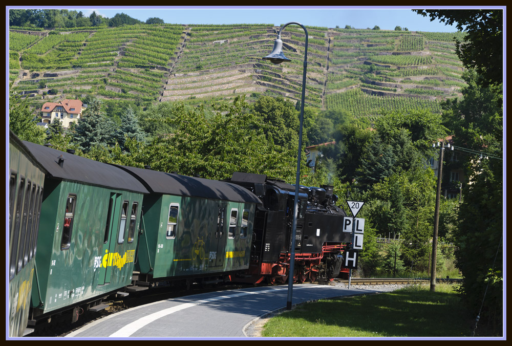 Lößnitzgrundbahn vor den Weinbergen...