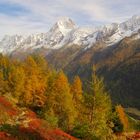 Lötschental