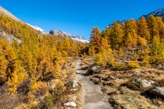 Lötschental