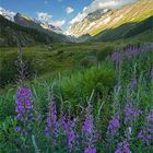 Lötschental im Sommer