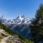 Lötschentaler Höhenweg: Und immer wieder der Blick auf das Bietschhorn