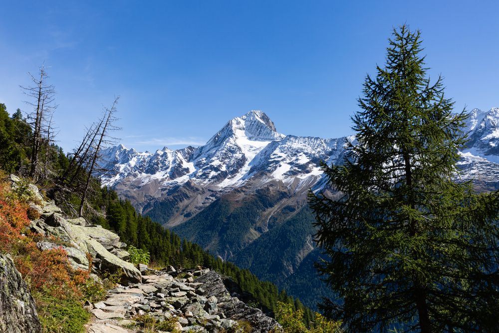 Lötschentaler Höhenweg: Und immer wieder der Blick auf das Bietschhorn