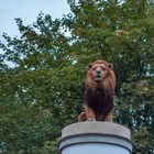 Löwe auf Litfaßsäule