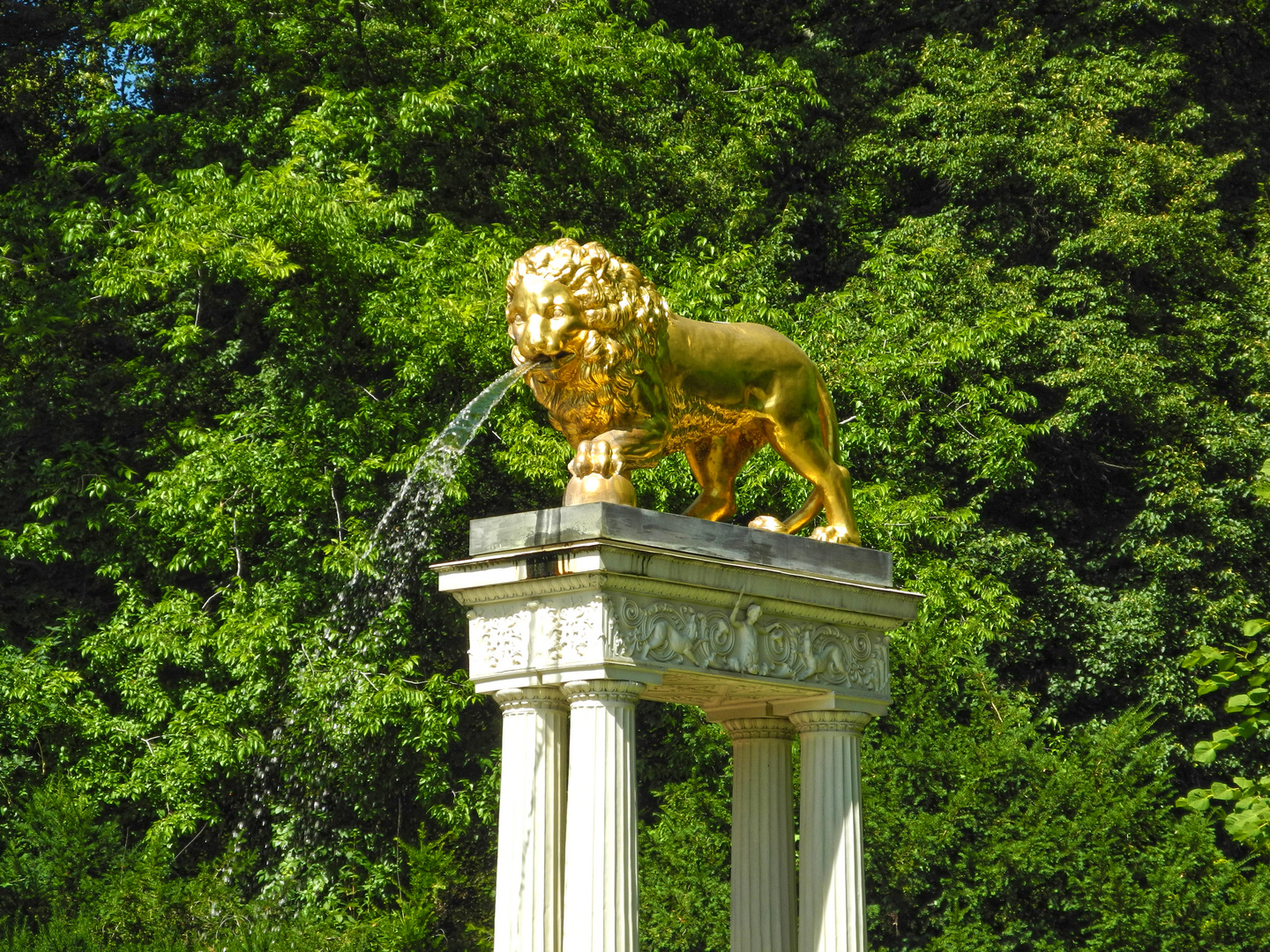 Löwe im Volkspark Glienicke