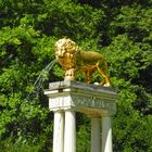 Löwe im Volkspark Glienicke