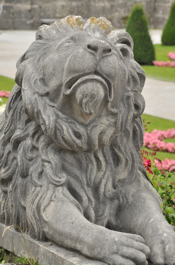 Löwe Mirabellen Garten