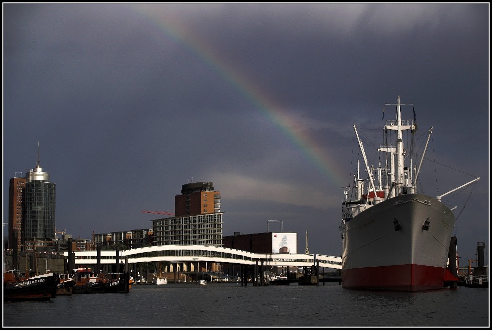 Löwe mit Regenbogen