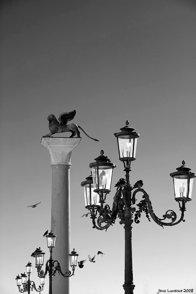 Löwe, Tauben und Laternen