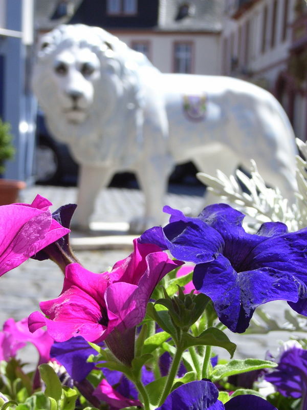 Löwe und Blumen