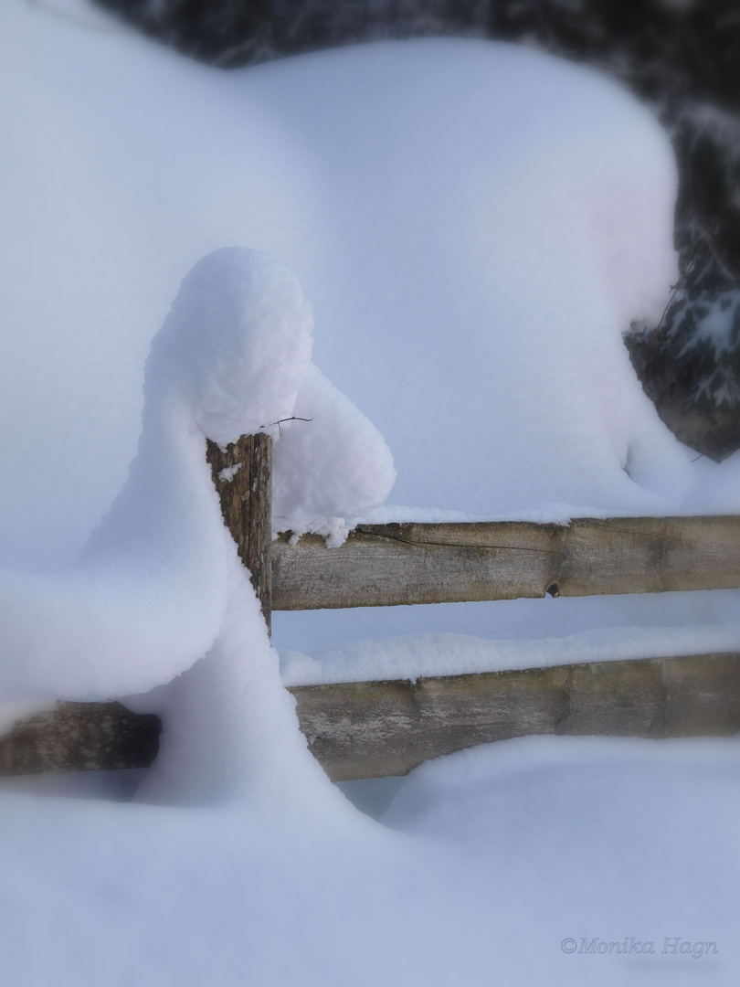 Löwe und Schneemann