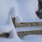 Löwe und Schneemann