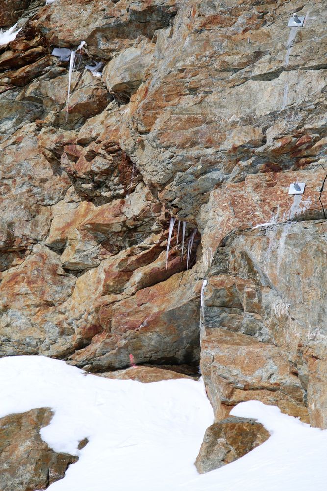 Löwe vom Jungfraujoch