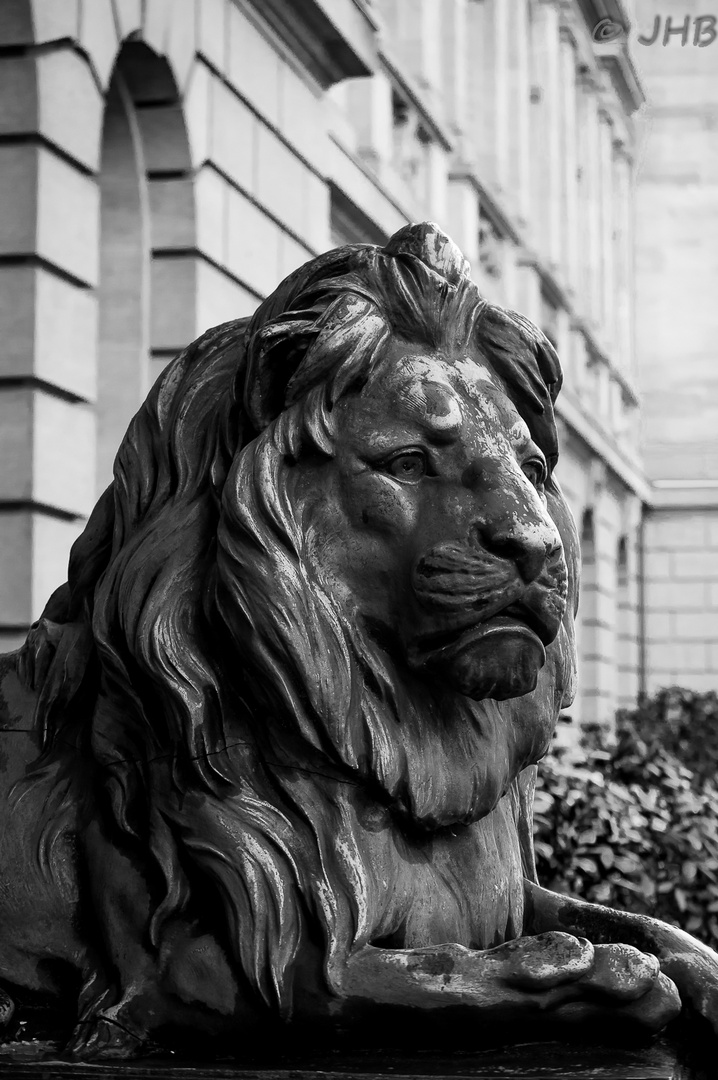 Löwe vor Museum König Bonn