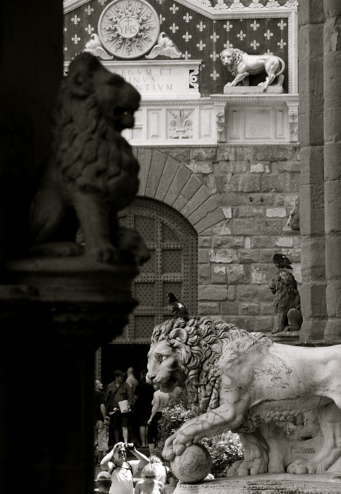 Löwen am Piazza della Signoria