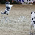 Löwen Classics Braunschweig 2013...noch eins