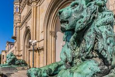 Löwen - Leibniz-Universität Hannover