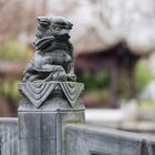 Löwen Skulptur im chinesischen Garten Frankfurt a.M