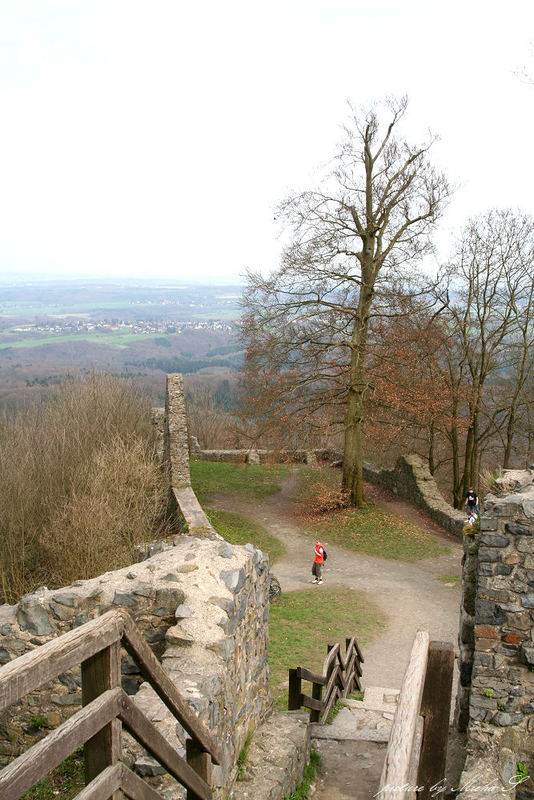 Löwenburg 5