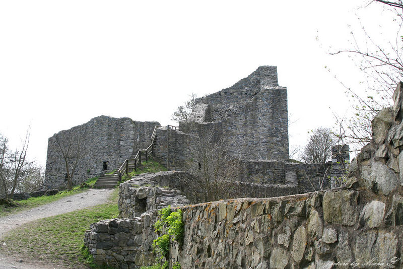 Löwenburg 6