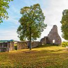 Löwenburg - Gerolstein (1)