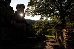 Löwenburg im Herbst_1